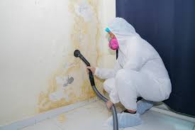 Mold Remediation for Vacation Homes in Mountain View, MO